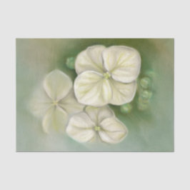 Papel De Seda Molho Pastel Branco Hydrangea Floral