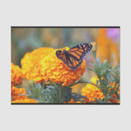 Papel De Seda Monarch Butterfly Marigold Foto