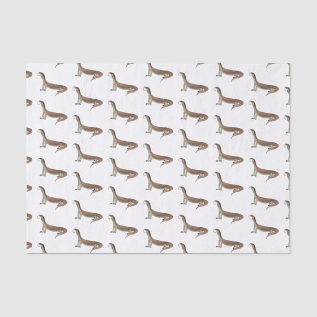 Papel De Seda Monitor de desenho de lagarto (Frente )