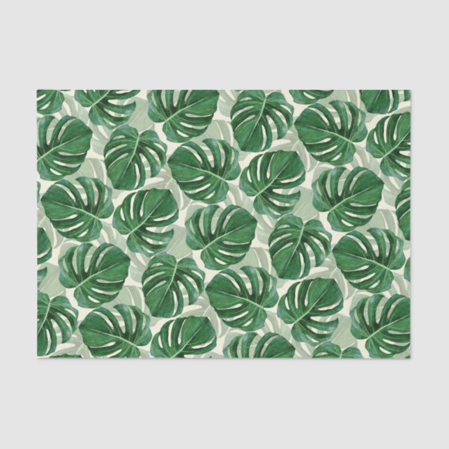 Papel De Seda Monstera Verde de Folhas Tropicais (Frente )