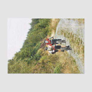PAPEL DE SEDA MONTANHA BIKING