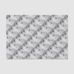 Papel De Seda Montanhas Terrier branco ocidentais