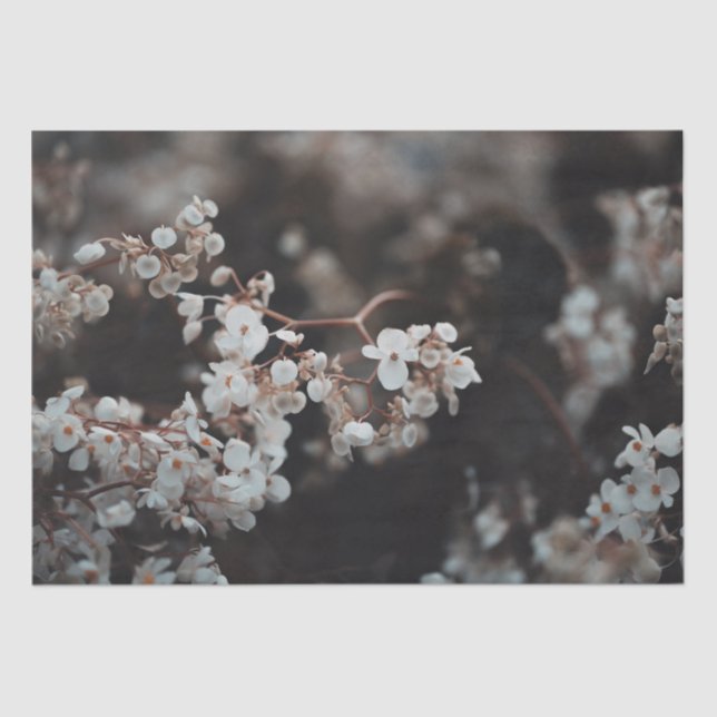 Papel De Seda Moody Floral  (Frente )