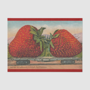 Papel De Seda Morangos Giant Antiguidade Diversão da Fruta
