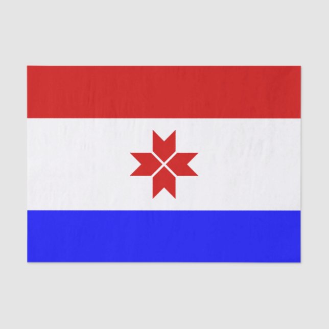 Papel De Seda Mordovia Flag (Frente )