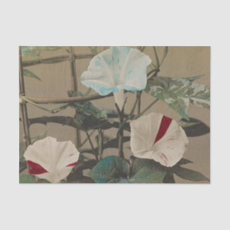 Papel De Seda Morning Glory by Ogawa Kazumasa