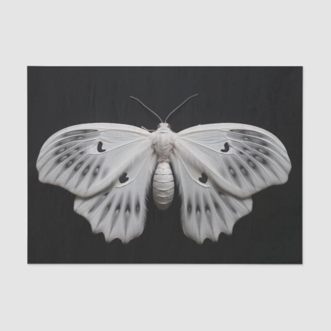 Papel De Seda Moth (Frente )