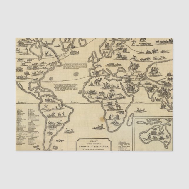 Papel De Seda Mundo de animais (Frente )