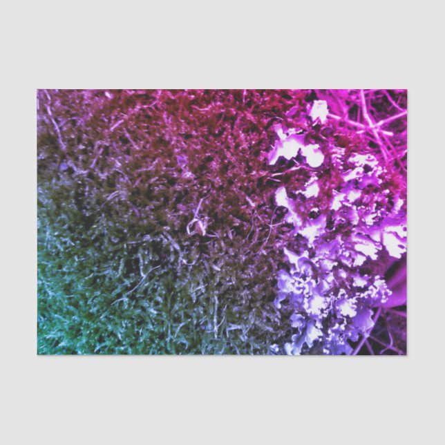 Papel De Seda Musgo roxo (Frente )