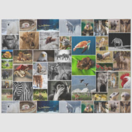 Papel De Seda "My Animal Kingdom" Wild Animal Tissue Paper