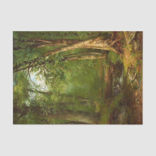 Papel De Seda Na floresta por Mary Josephine Walters (Frente )