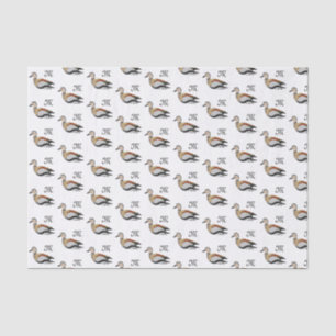Papel De Seda Nadação Adorável de Pato Teal Anelado