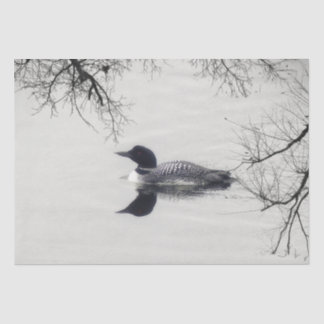Papel De Seda Natações comuns em um lago Norte no inverno