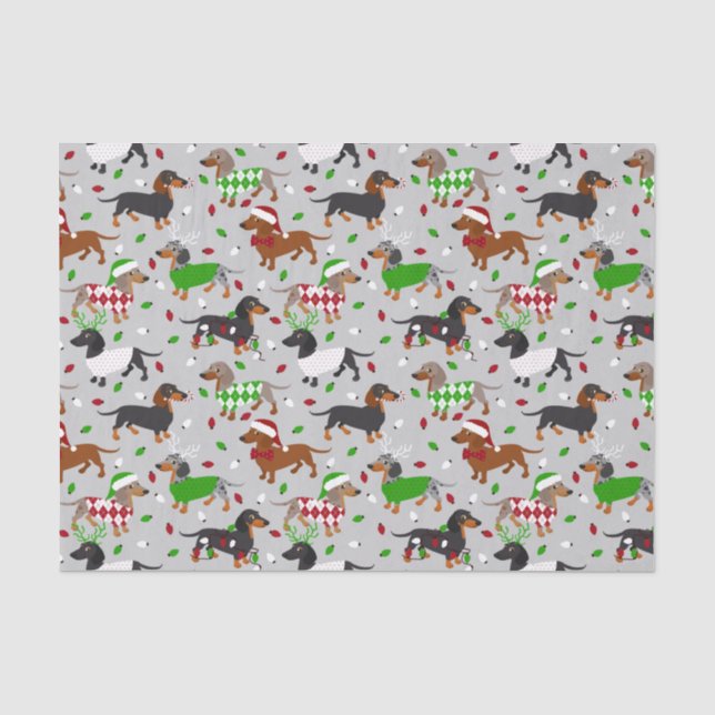 Papel De Seda Natal Dachshund Todos os Casacos (Frente )