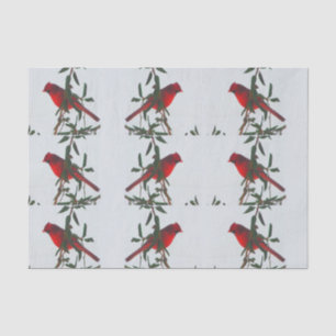 Papel De Seda Natal do Cardeal Vermelho