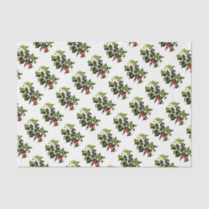 Papel De Seda Natal do design do azevinho e da hera