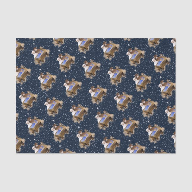 Papel De Seda Natal Natividade Baby Jesus (Frente )