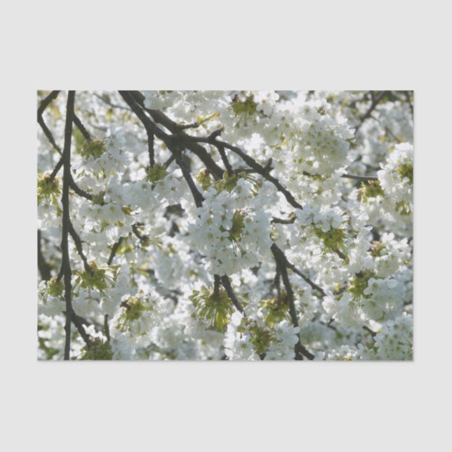 Papel De Seda Nature Inspirations Cherry Blossoms (Frente )