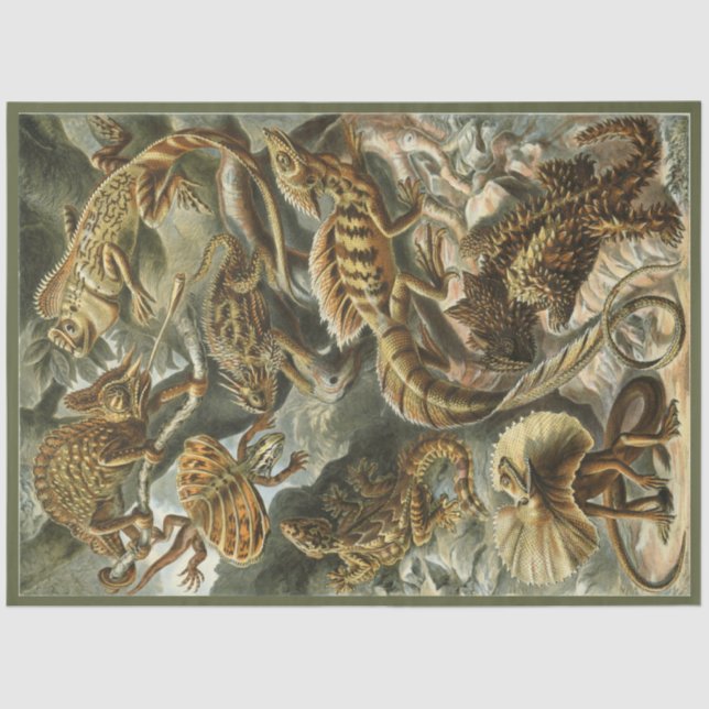 Papel De Seda Nature Lizard Ernst Haeckel Decoupage (Frente )
