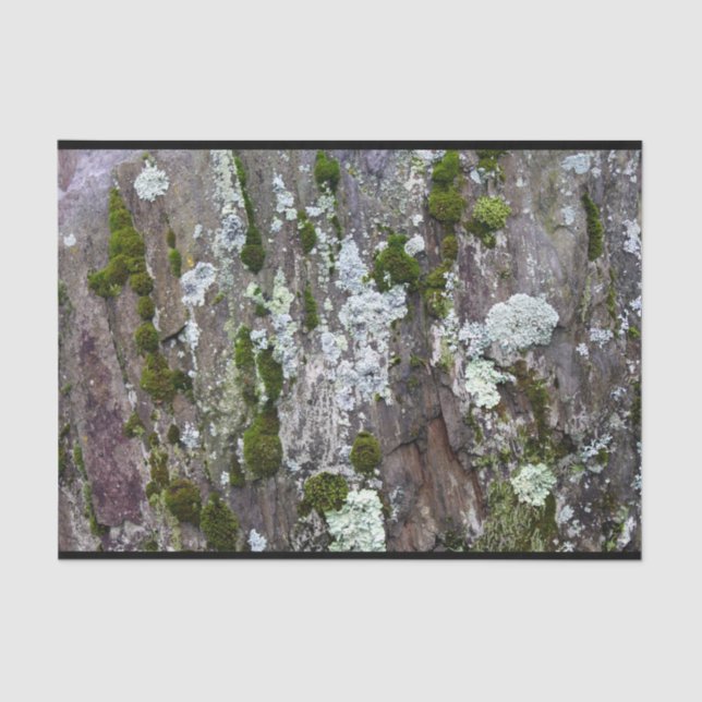 Papel De Seda Nature Moss Lichen Camouflage Foto (Frente )
