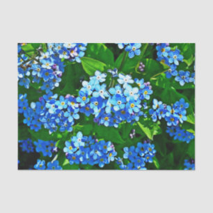Papel De Seda Natureza Inspirações Azul Brilhante Esquece-me N