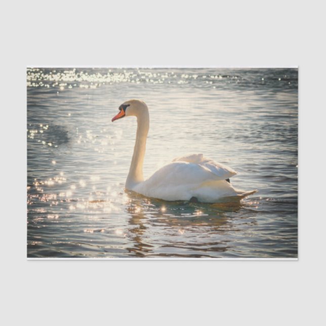 Papel De Seda Natureza Inspirações Elegante Swan  (Frente )