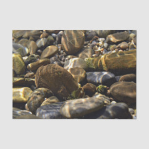 Papel De Seda Natureza Inspirações Sun Boca debaixo de Rochas