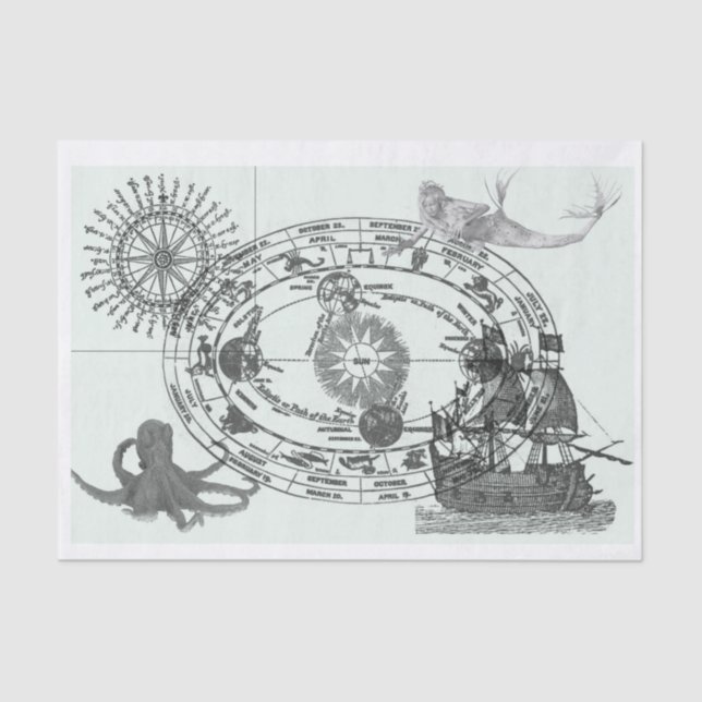 Papel De Seda Náutico (Frente )