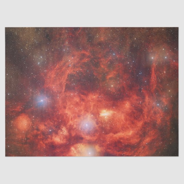 Papel De Seda Nebulosa de lagosta (Frente )