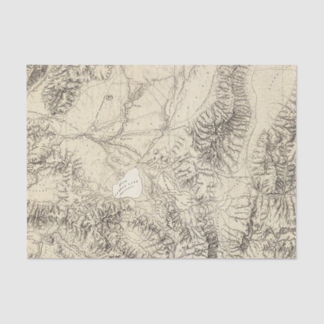 Papel De Seda Nevada ocidental (Frente )