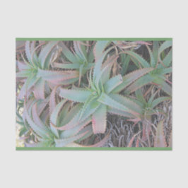 Papel De Seda Nevada suculenta