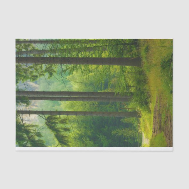 Papel De Seda Névoa verde-mágica (Frente )