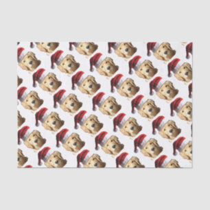 PAPEL DE SEDA NICKEL-WITH-A-HAT-3