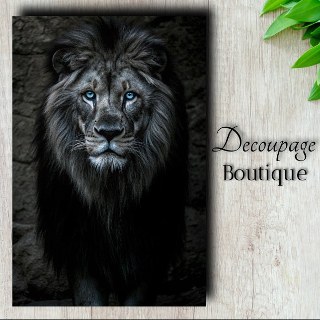 Papel De Seda Night King (Night King Decoupage Tissue Paper)