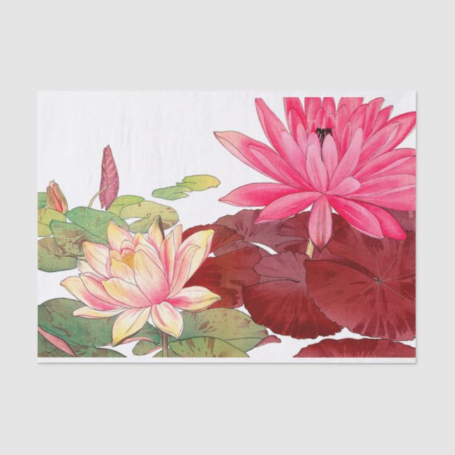 Papel De Seda Ninfhaea lotus, dissociação (Frente )