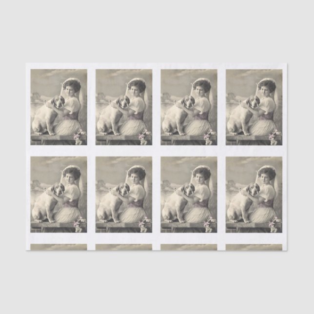 Papel De Seda Noiva Antiga e Retrato de Cão Chuva de Presentes C (Frente )