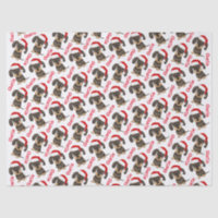Nome personalizado do Dachshund no Natal