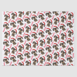 Papel De Seda Nome personalizado do Dachshund no Natal