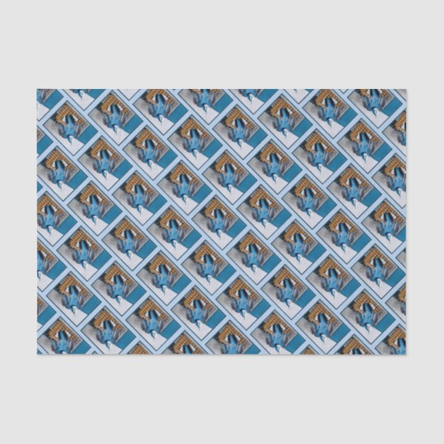 Papel De Seda Nuthatch Branca em Neve - Foto original (Frente )