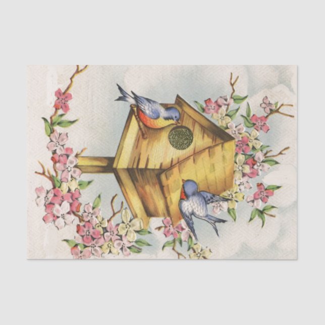 Papel De Seda O Birdhouse (Frente )