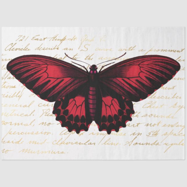 Papel De Seda O Design da série de Buquês 139 (Frente )