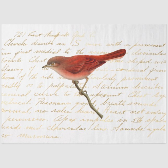 Papel De Seda O Design da série de Buquês 140 (Frente )