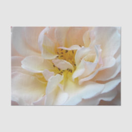 Papel De Seda O rosa