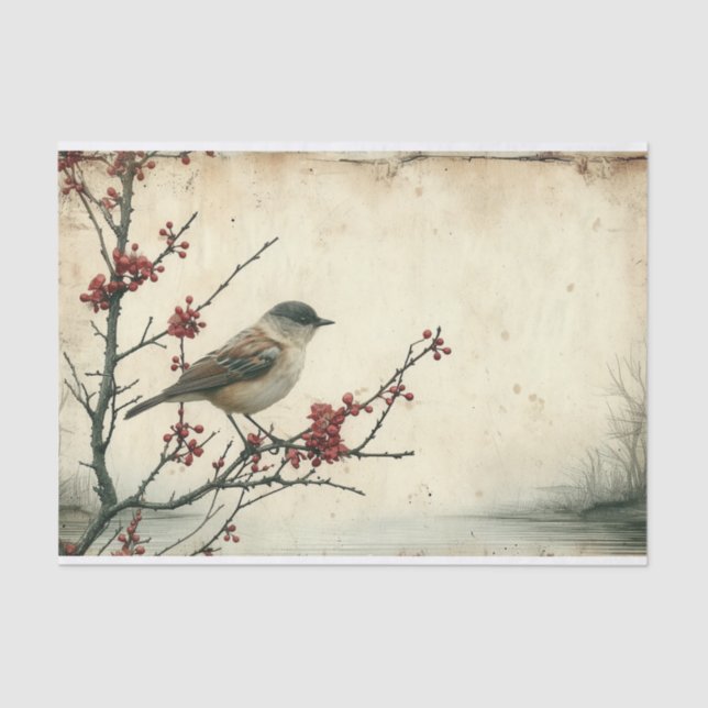 Papel De Seda O Solitário Sparrow (Frente )