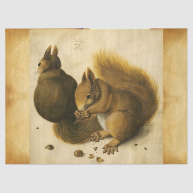 Papel De Seda O SQUIRREL COM LOUCOS Albrecht Durer (Frente )
