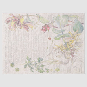 Papel De Seda O Wildflower da madressilva floresce o lenço de