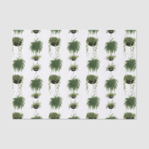 Papel De Seda Oásis Interior Cestos de retenção