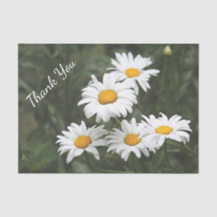 Papel De Seda Obrigado Daisy Tissue Paper