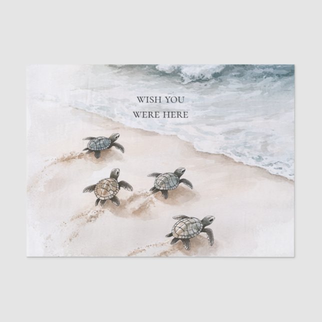 Papel De Seda Ocean Beach Coast Sea Turtles (Frente )