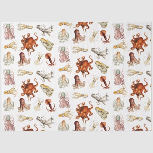 Papel De Seda Octopus Cephaloposo Oceânico (Frente )